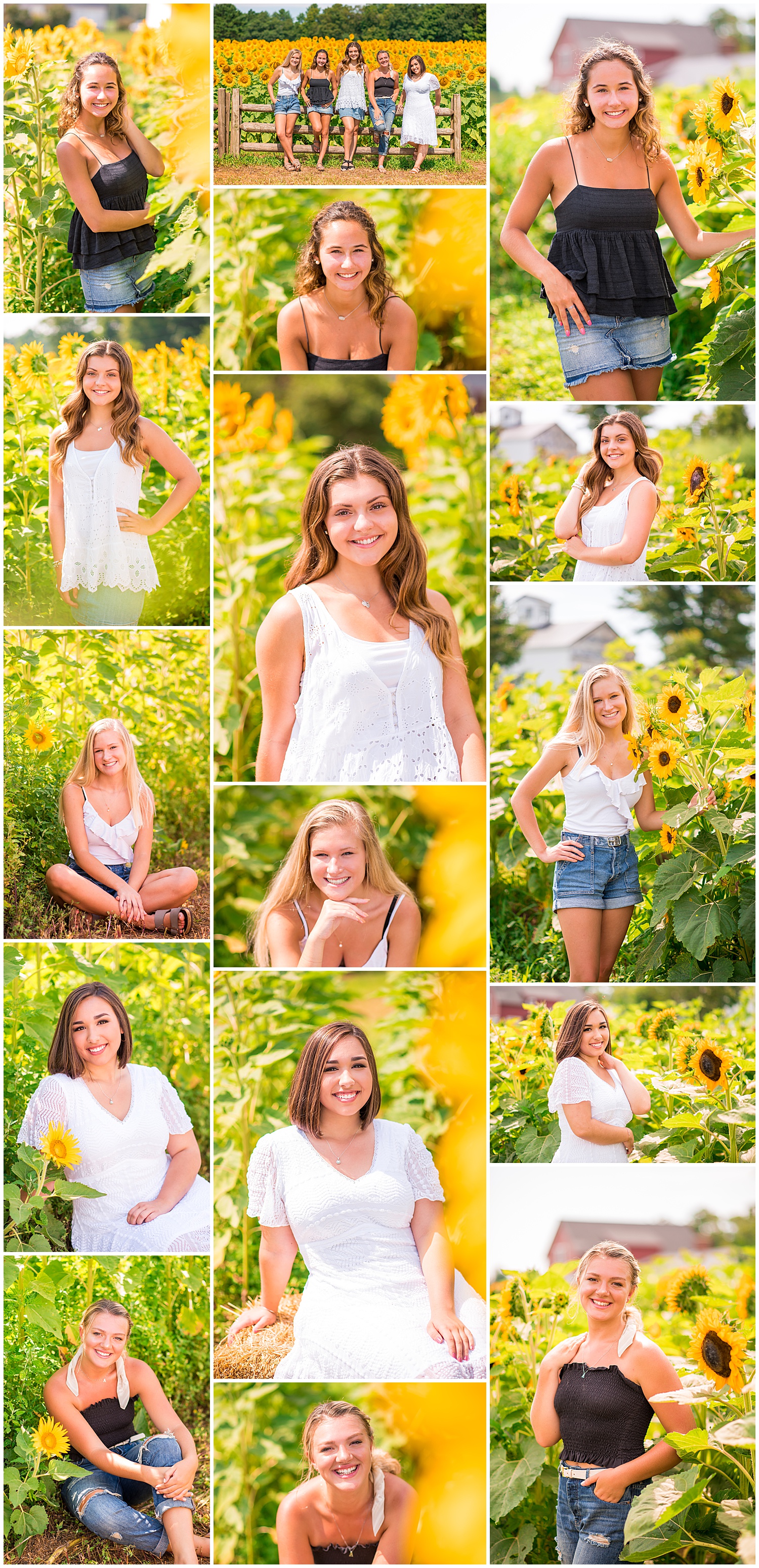 images from photoshoot with senior spokesmodels at sunflower festival