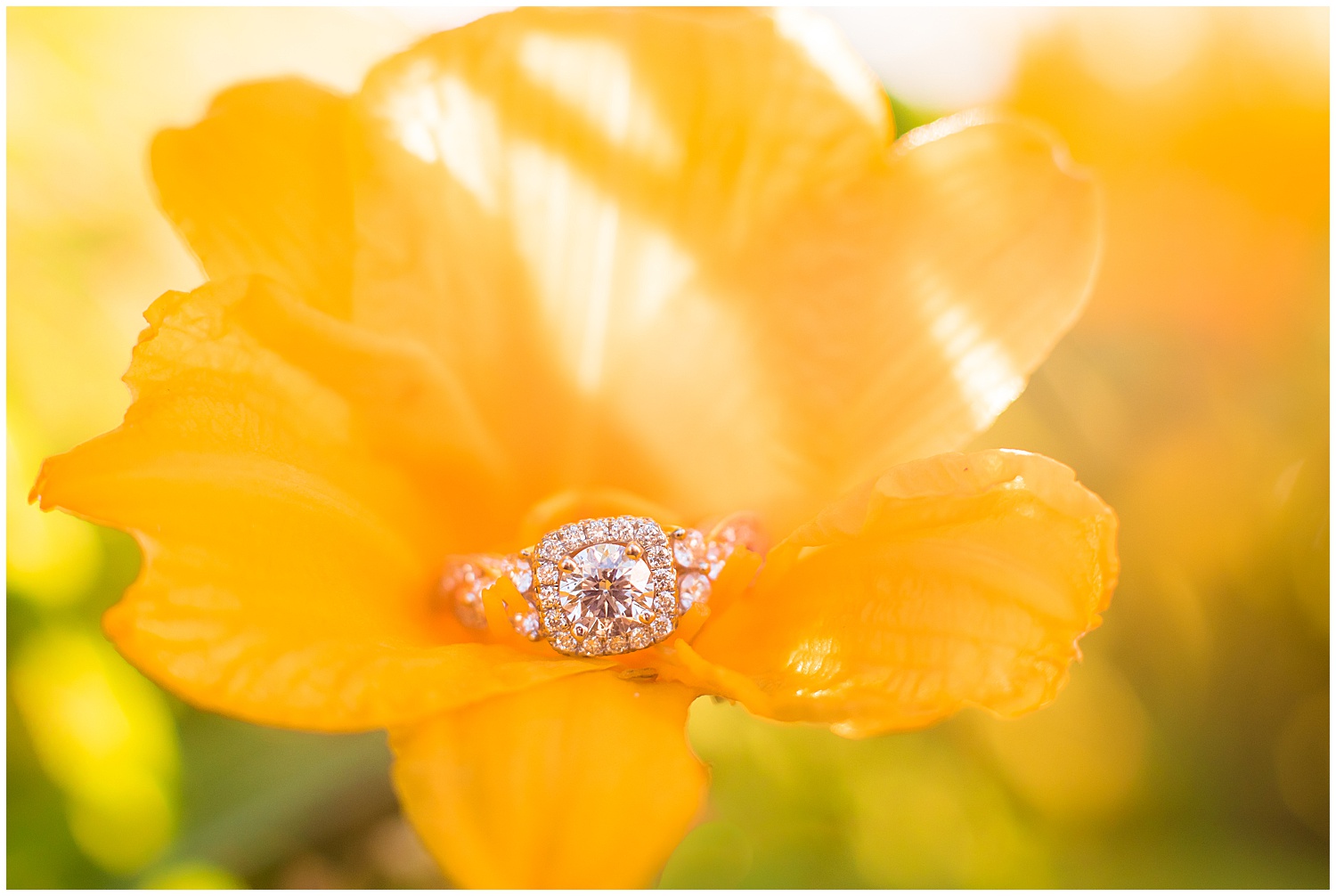 engagement ring on a flower