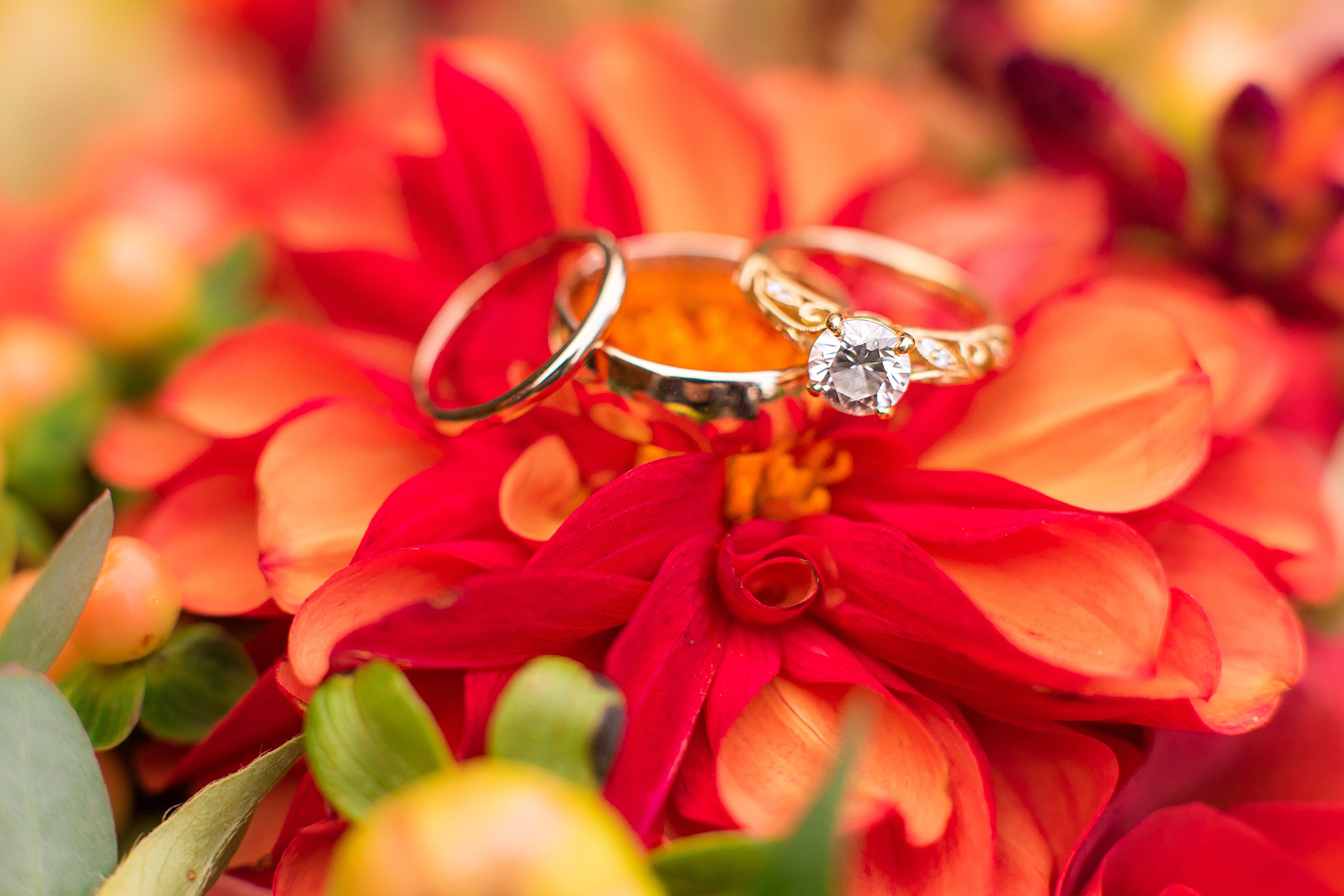 wedding rings on burnt orange flower