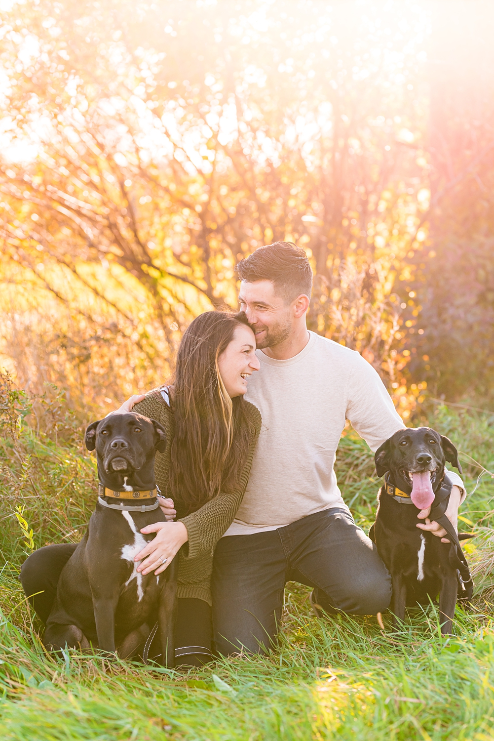 couple sit in grass with their two dogs during engagement photos