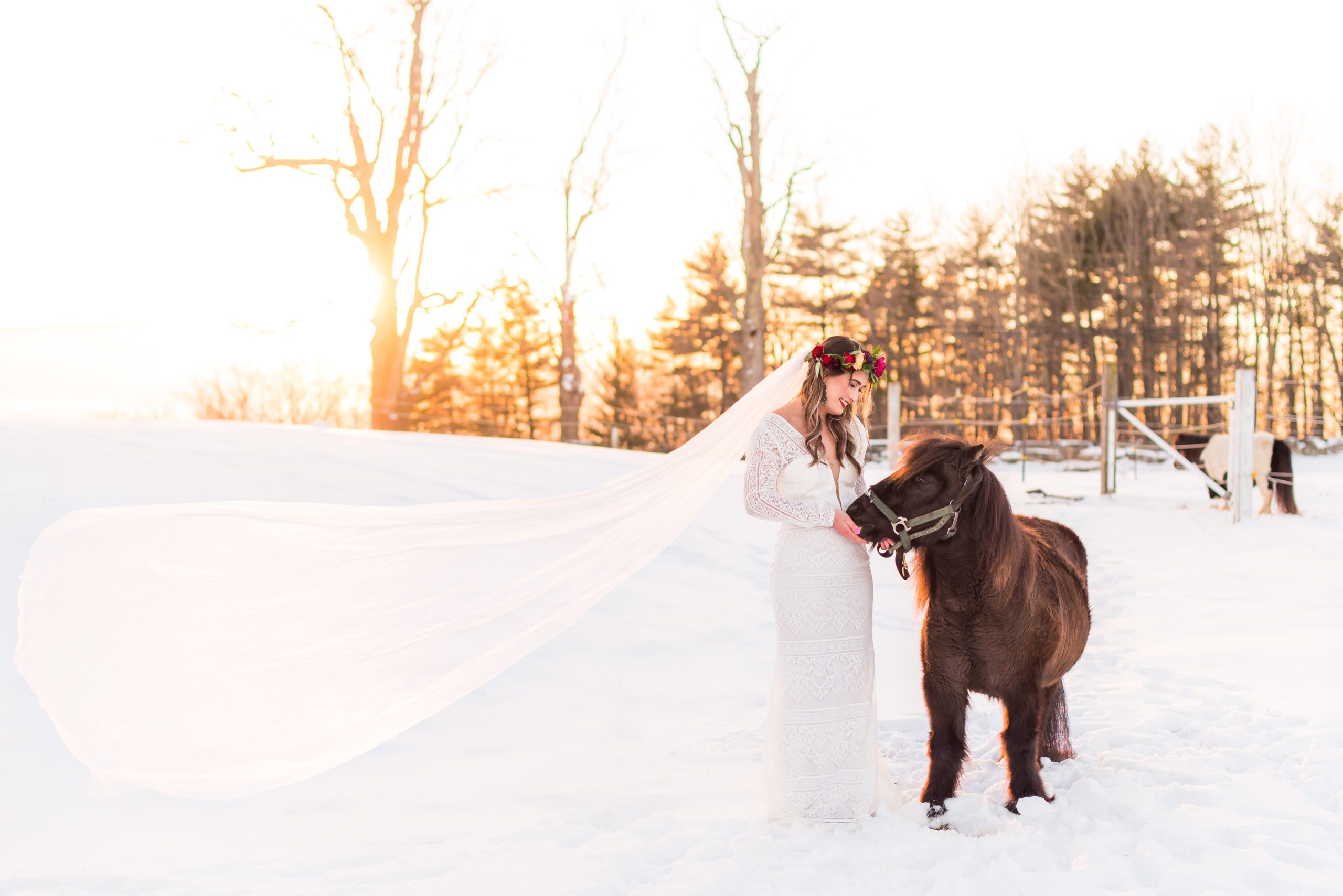 Bride during Winter Styled Shoot with a mini horse