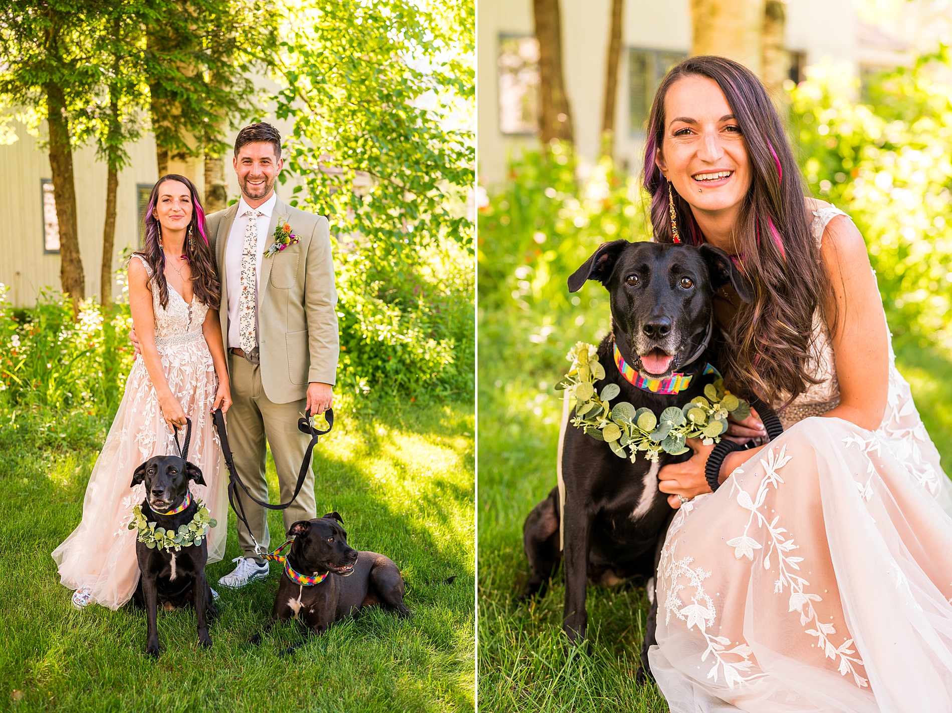 bride and groom with their two dogs after wedding ceremony 