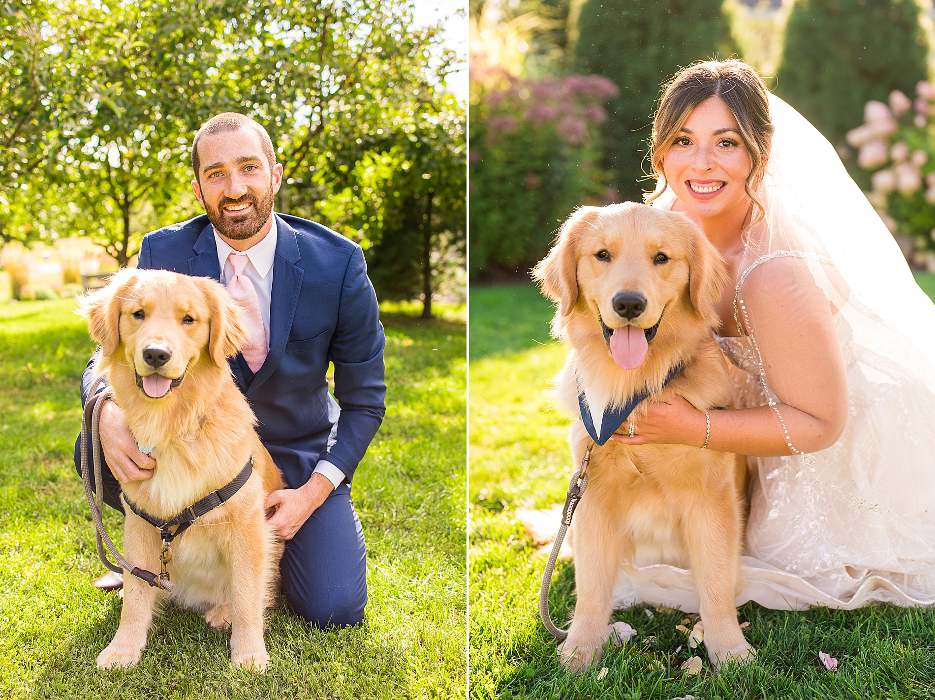 bride and groom have first look with their dog 