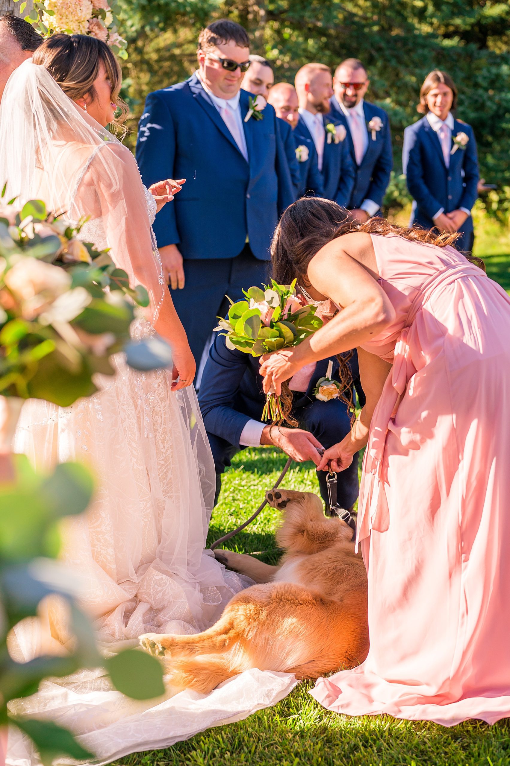 dog runs to owners at wedding ceremony 