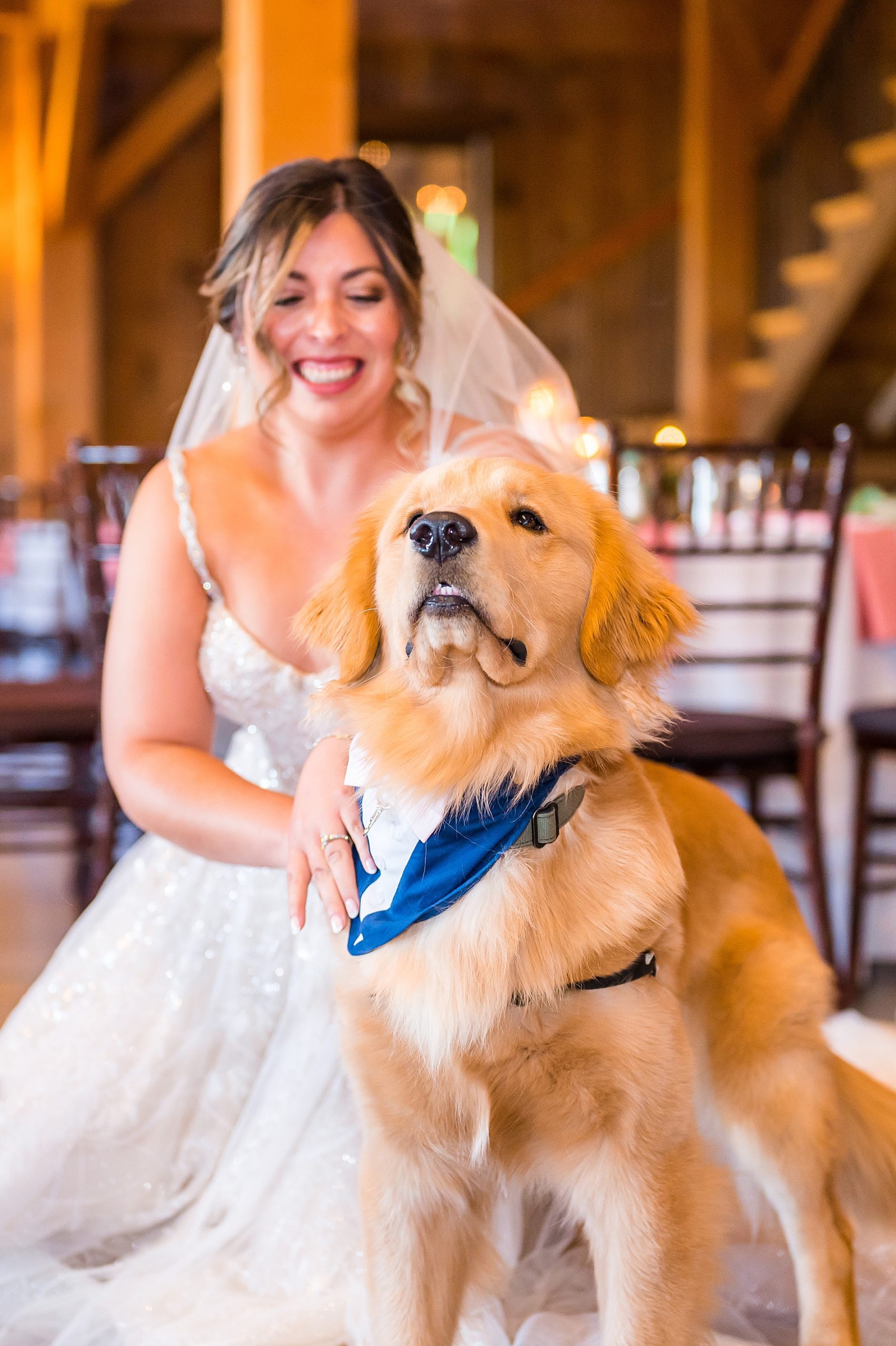 bride and her dog at Bellevue Barn Summer Wedding