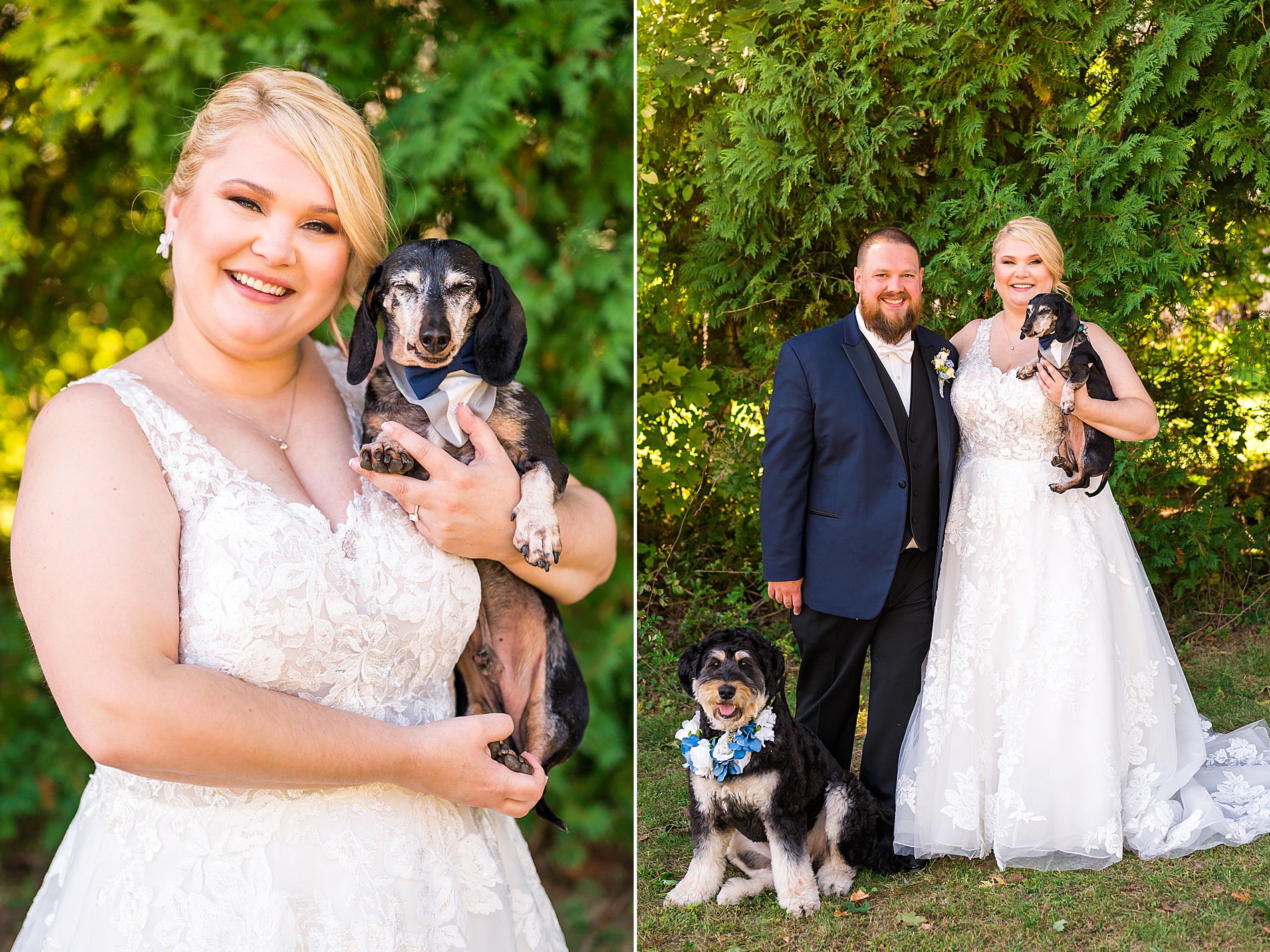 couple hold their two dogs for wedding portraits