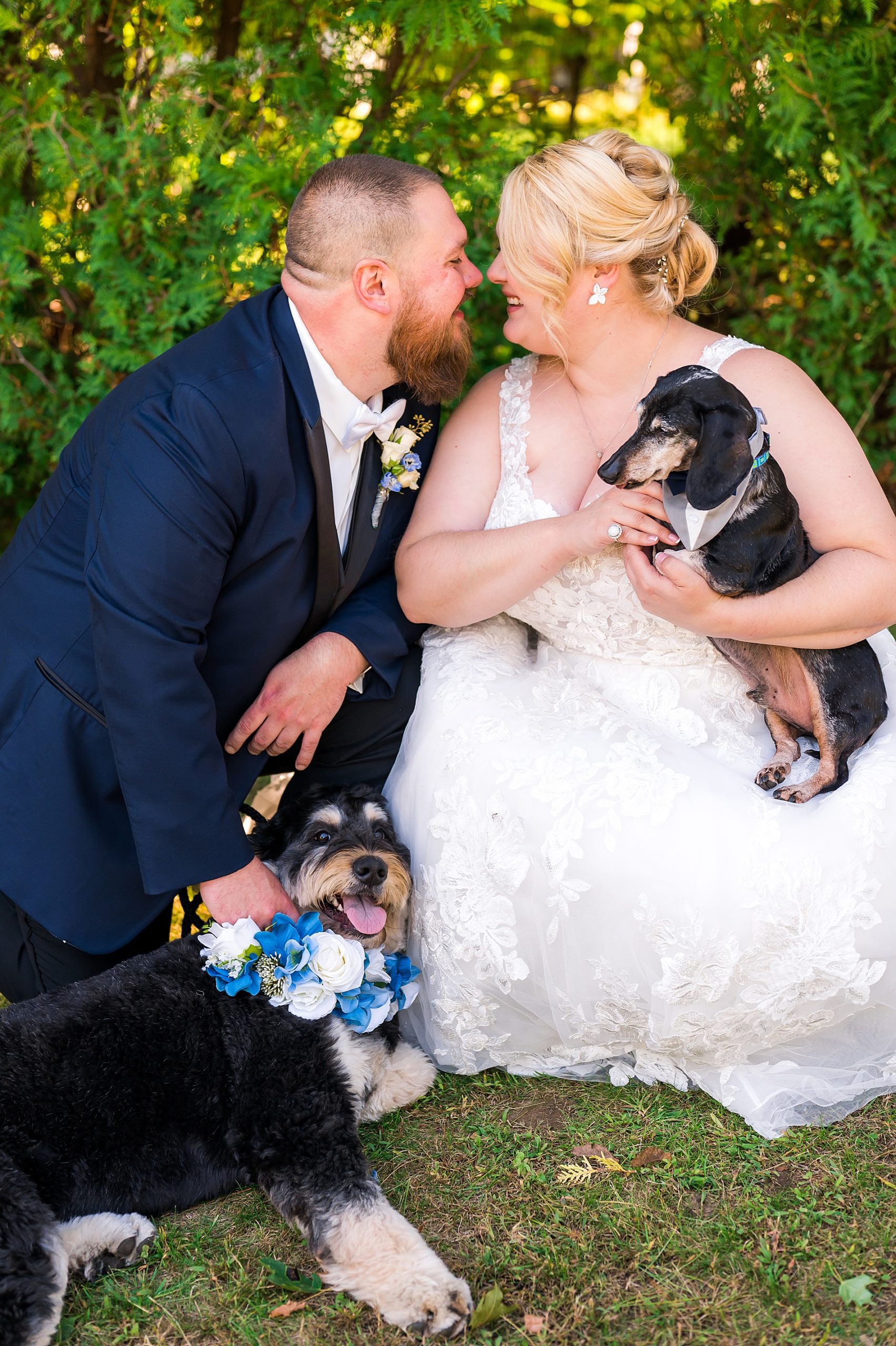  newlyweds hold their dogs after Wolfeboro Inn Waterfront Wedding