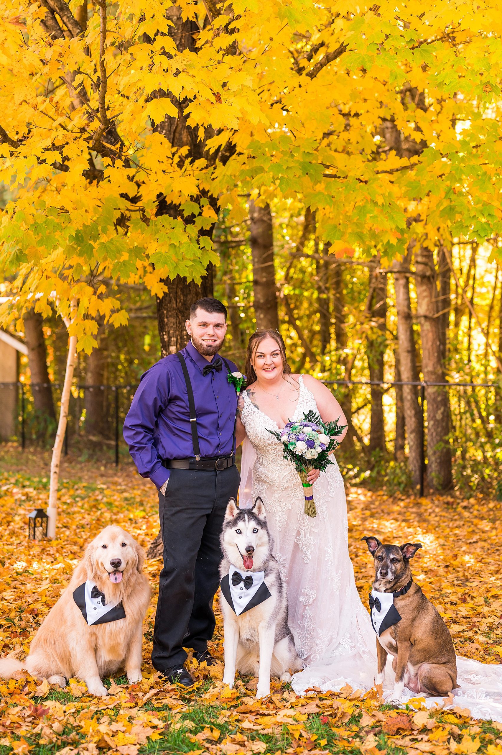 bride and groom with their three dogs 