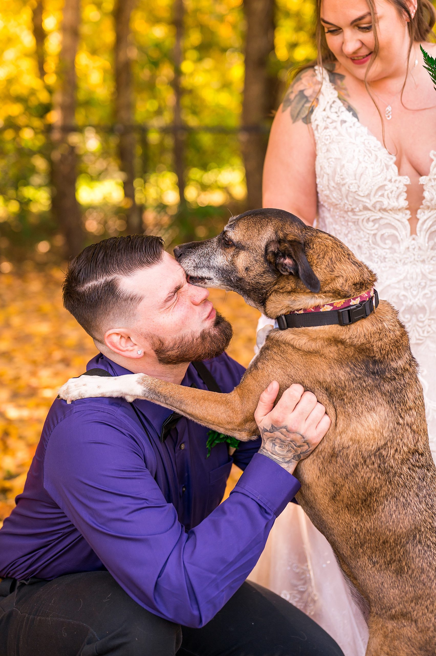 dog kisses groom before Intimate Backyard Fall Wedding