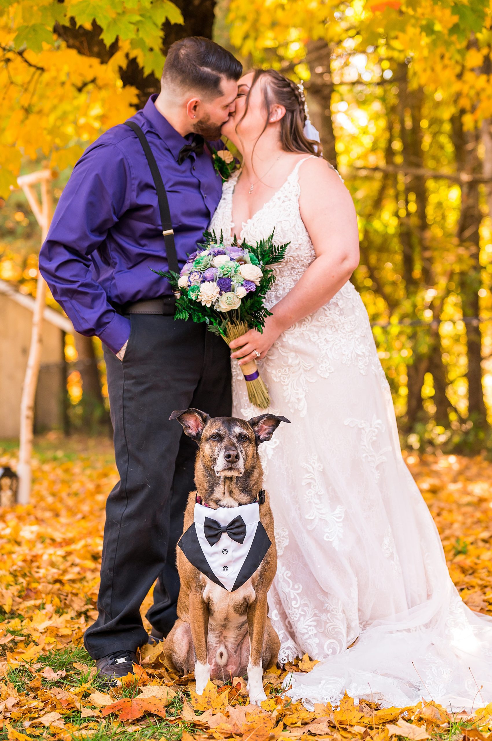 bride and groom kiss with their one dog sitting by them