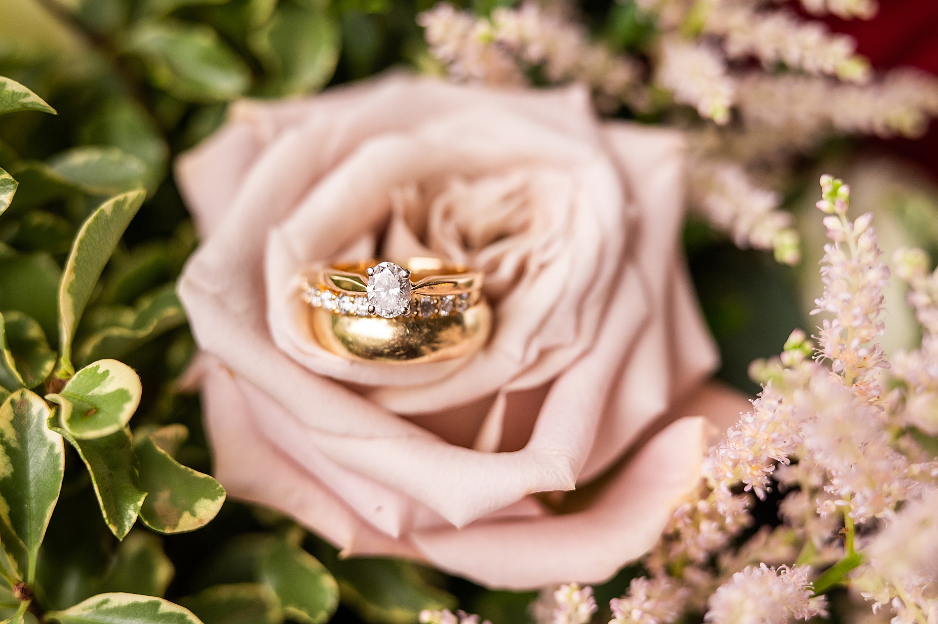 wedding rings inside rose