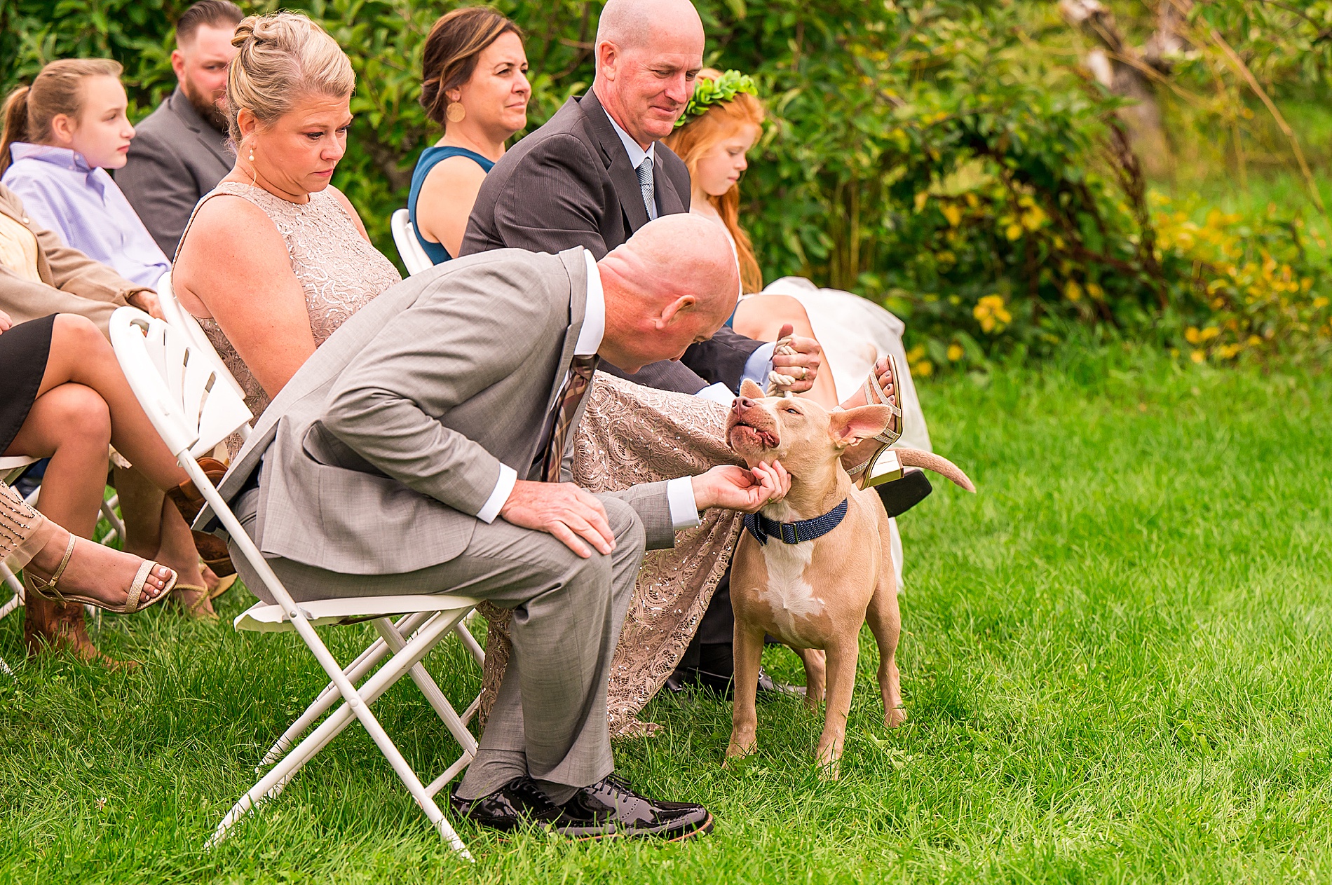 father of the bride with dog 