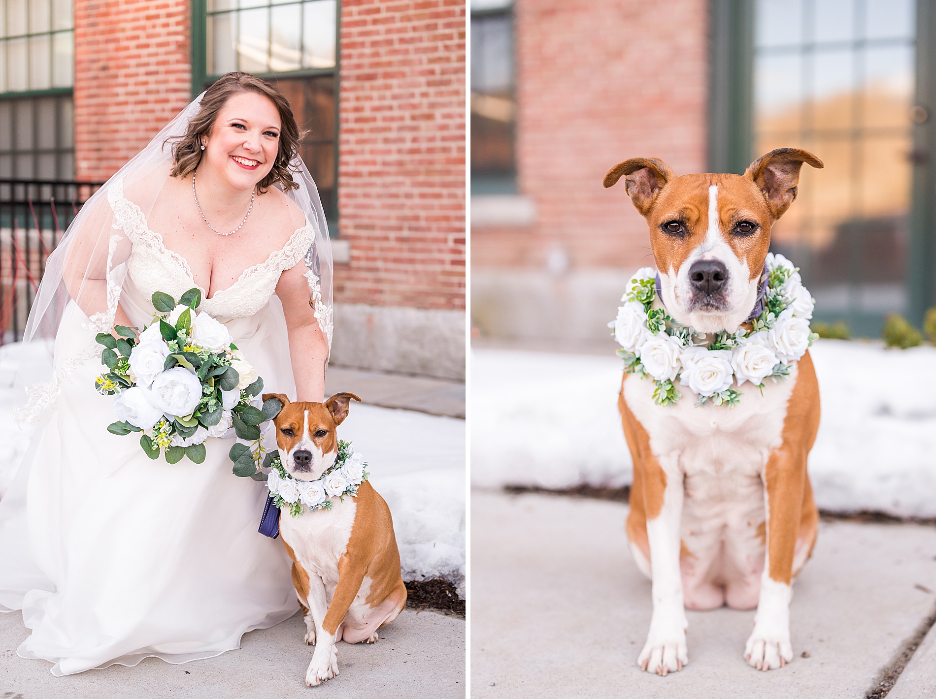 bride with her dog wearing a white flower wreath
