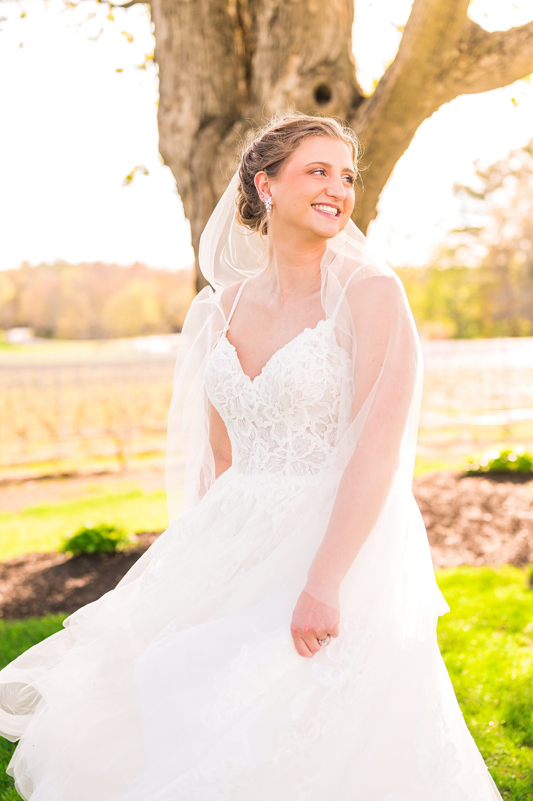 bride portraits from Flag Hill Winery Wedding 