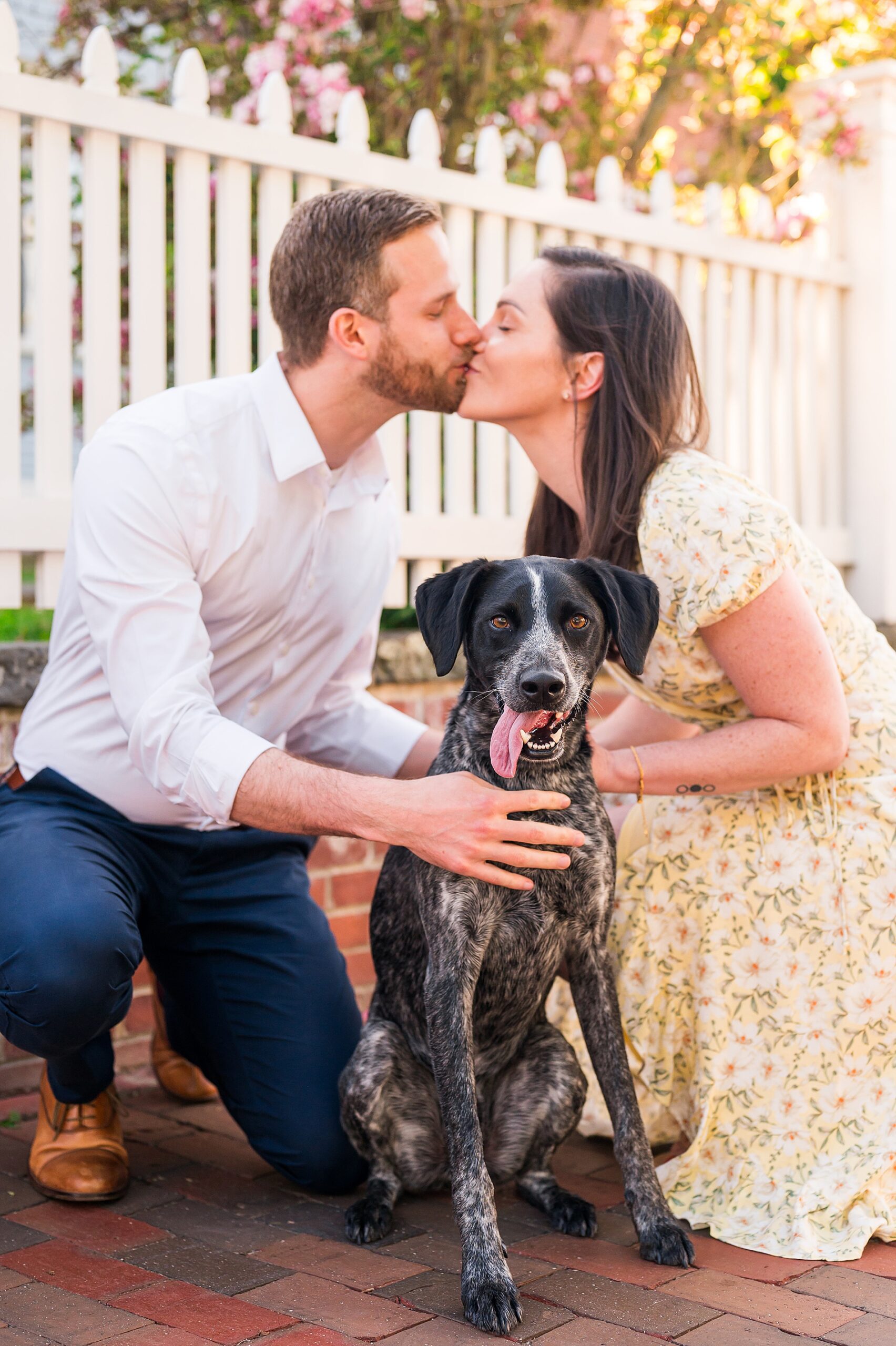 Summer Engagement Portraits with couples' dog in New England