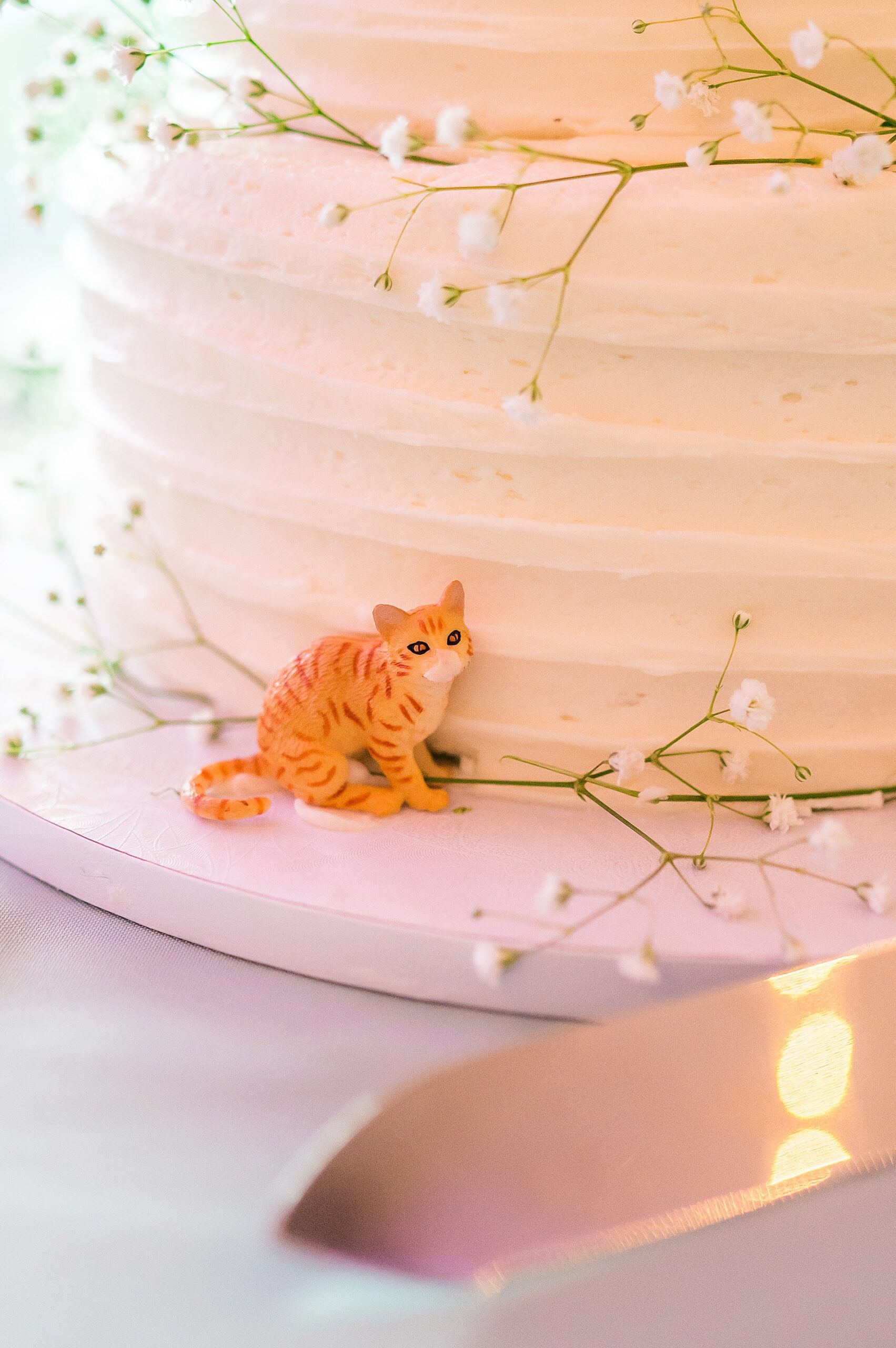 cat figurine on wedding cake