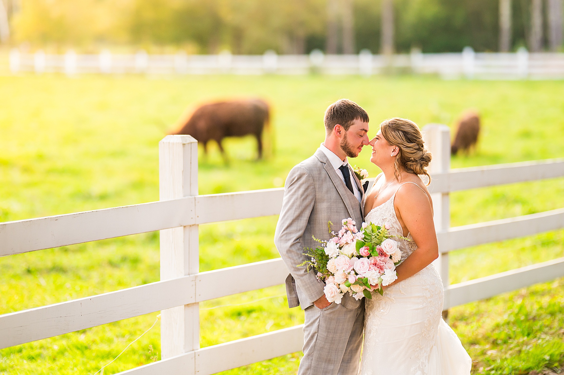 newlyweds kiss by fence on farm 
