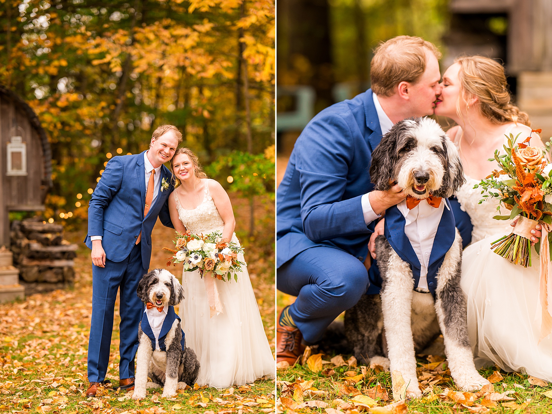 wedding portraits with dog in tux