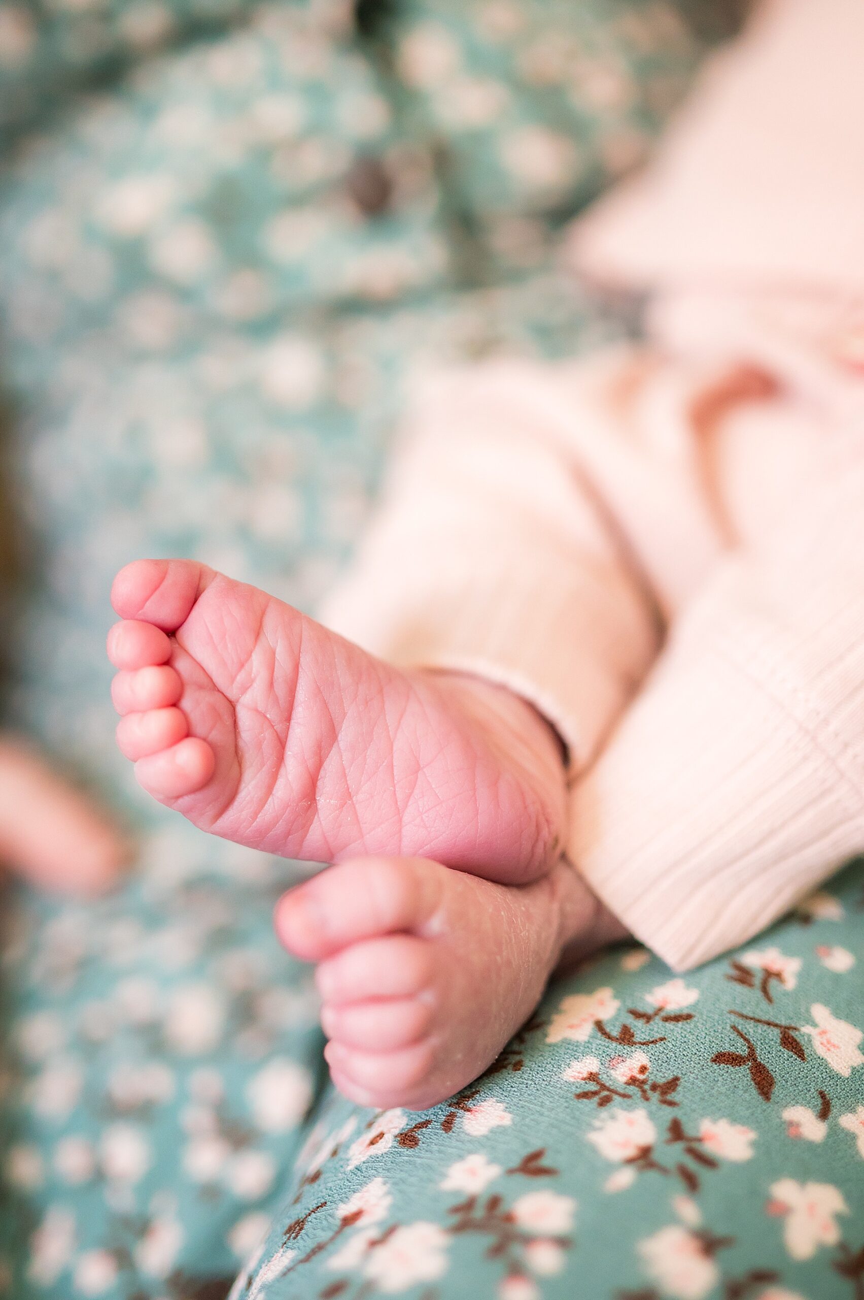 tiny toes of newborn 