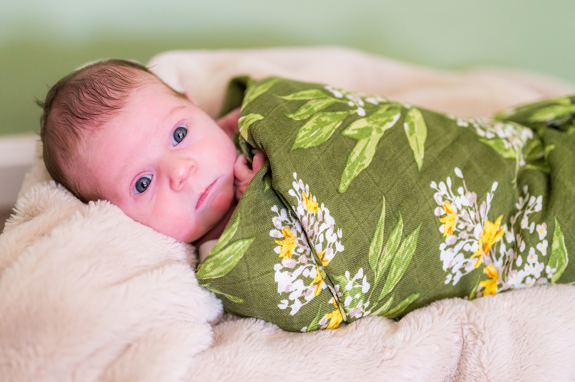 newborn portraits of baby girl wrapped in green blanket