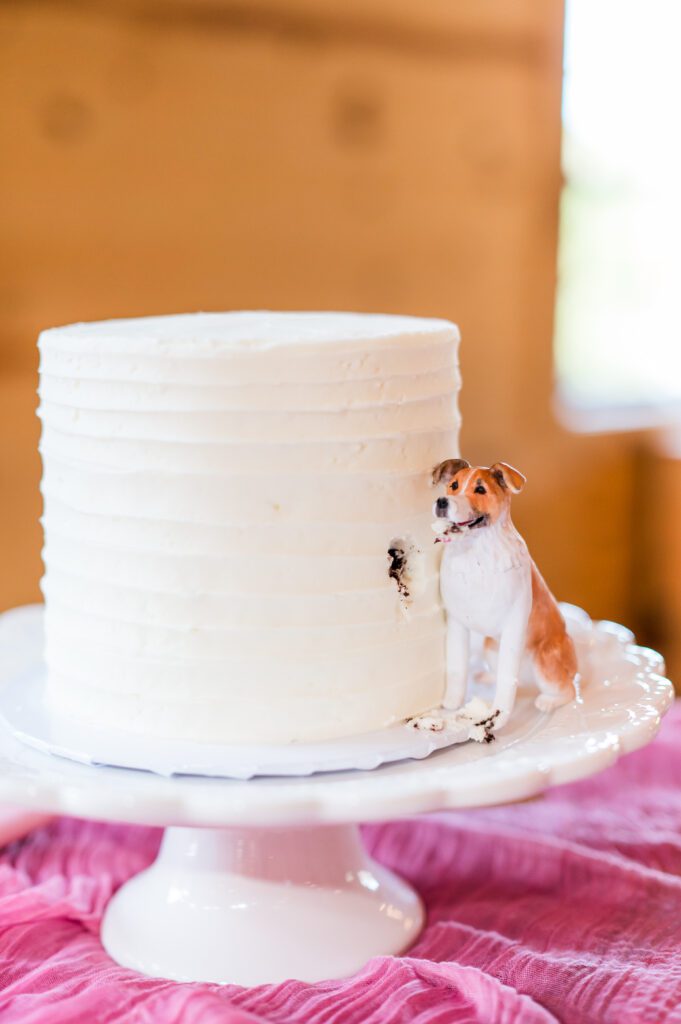 Wedding cake with dog