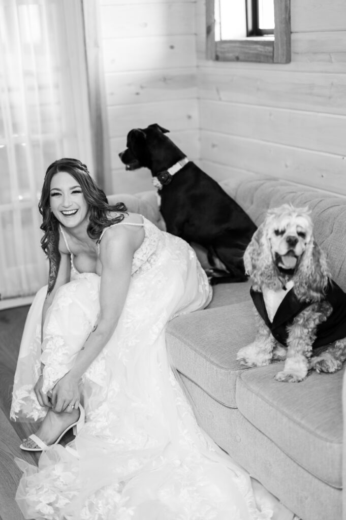 Bride with dogs | Spring wedding at the Barn at Bull Meadow