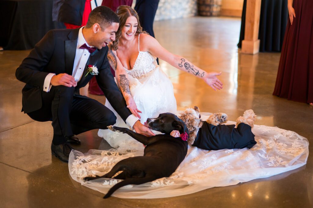 Dogs laying on dress | at the Barn at bull meadow